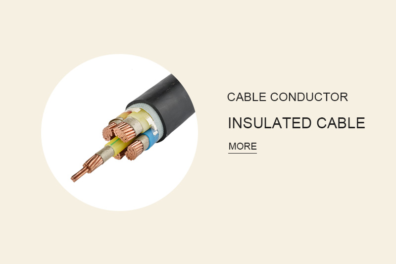 <strong>Insulated cable</strong>