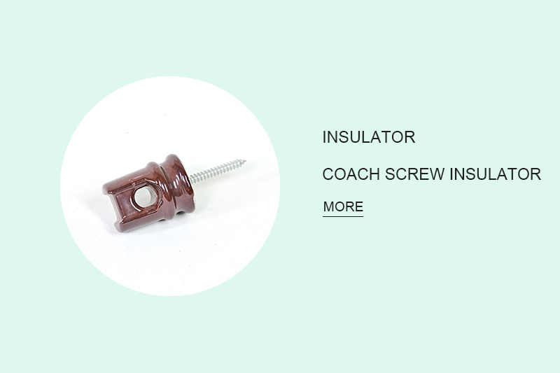 Coach screw insulator
